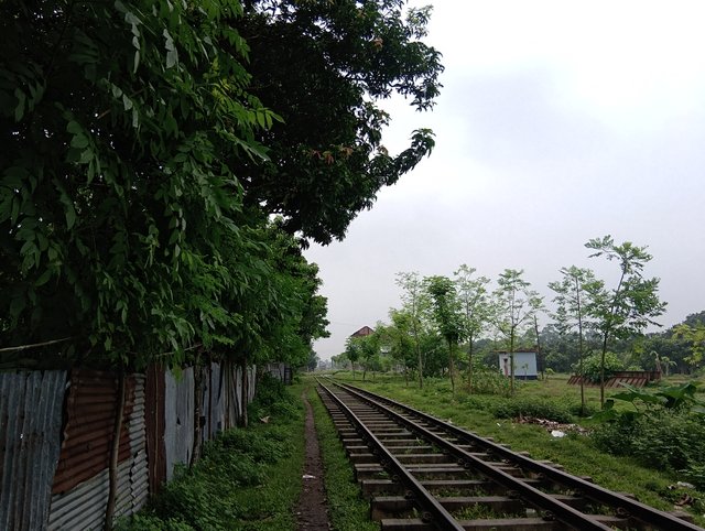 1000041011.jpg