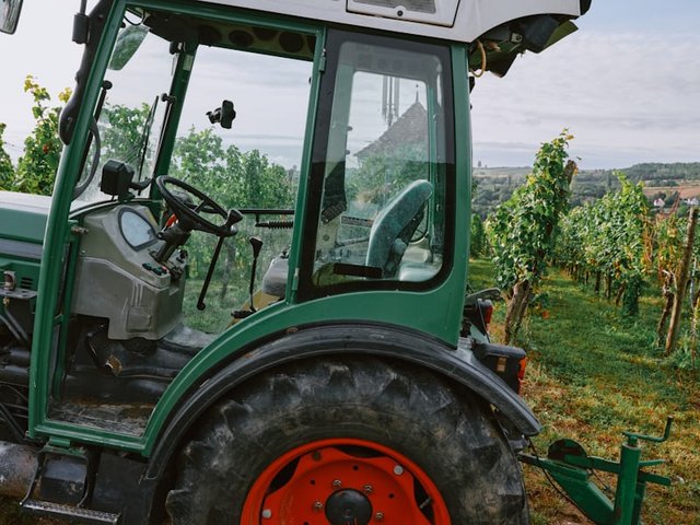 premium_photo-1720539555221-c15b20f540d3.jpeg