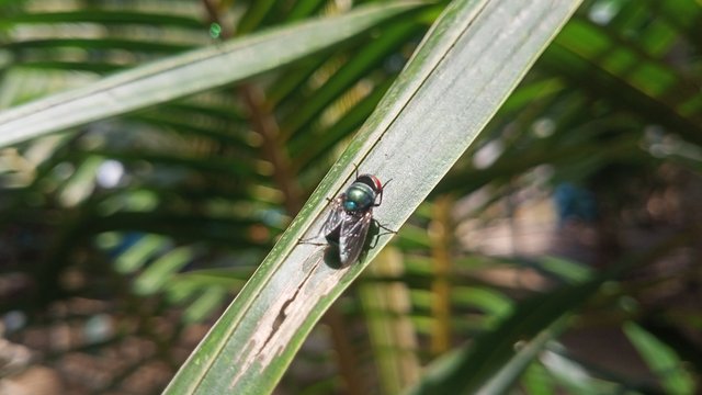 IMG20250530110813.jpg