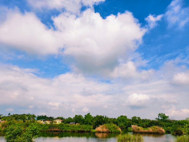 IMG_20250830_085101.jpg