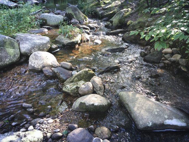 Willard Brook Fork.jpg