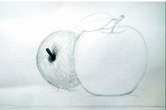 drawing of apple