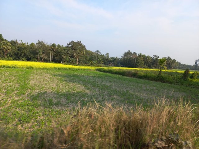 IMG-20250521-WA0037.jpg