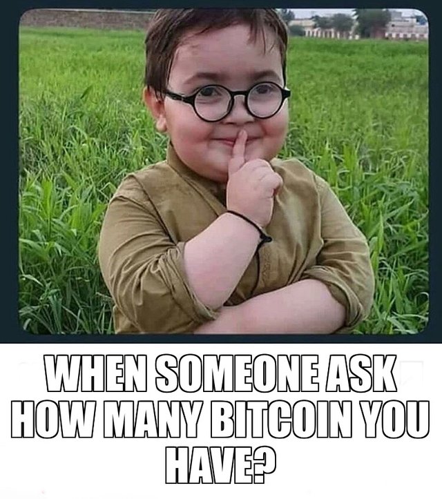 How Many Bitcoin.JPG