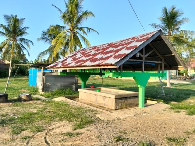 6973.jpg