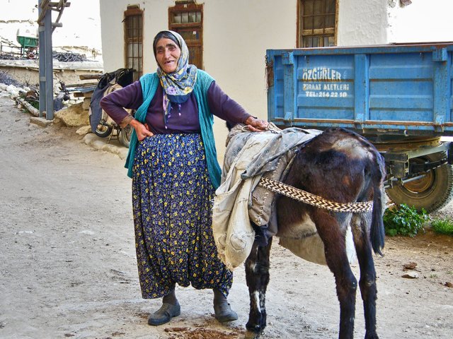 free-photo-of-elderly-woman-standing-with-donkey(0).jpeg