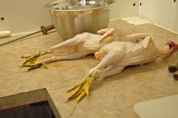 Processing - naked birds to eviscerate1 crop Sept. 2018.jpg