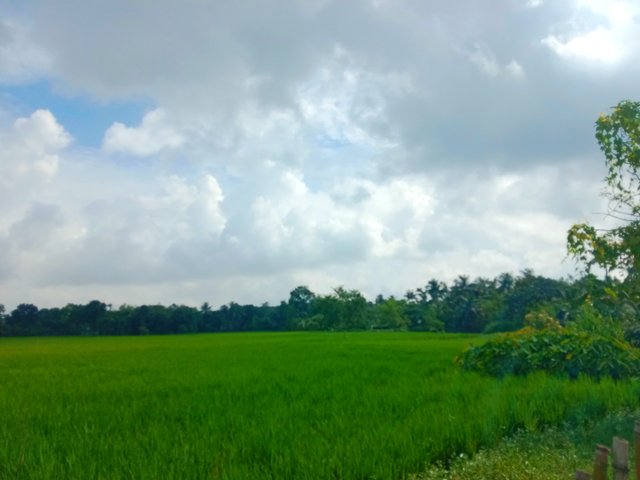 IMG_20250916_190500.jpg