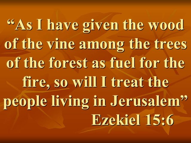 The prophet Ezekiel. As I have given the wood of the vine among the trees of the forest as fuel for the fire, so will I treat the people living in Jerusalem.jpg