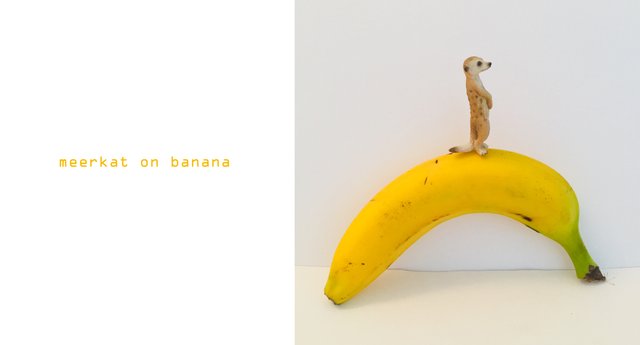 meerkat_on_banana.jpg
