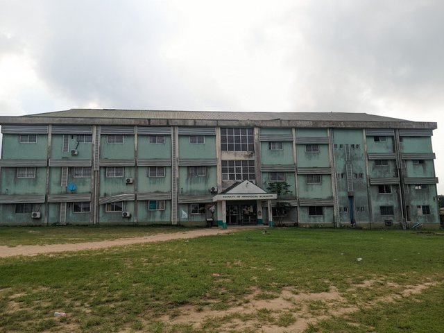 1000584376.jpg