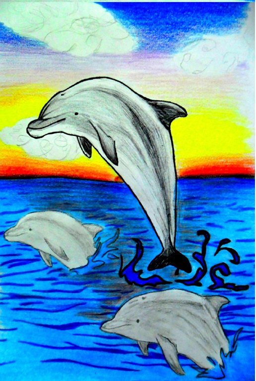 Featured image of post Colored Pencil Sunset Dolphin Drawing / Sunsets with colored pencils drawing at getdrawings | free.