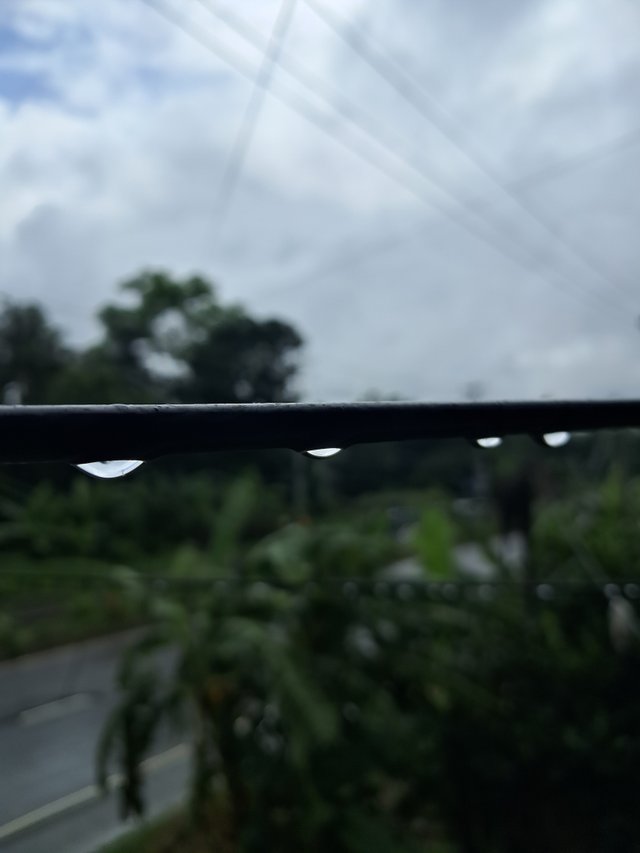 20250705_133536.jpg