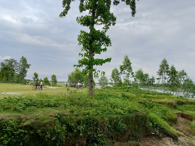 1000042362.jpg