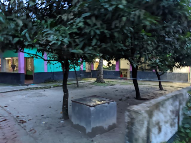 1000046661.jpg