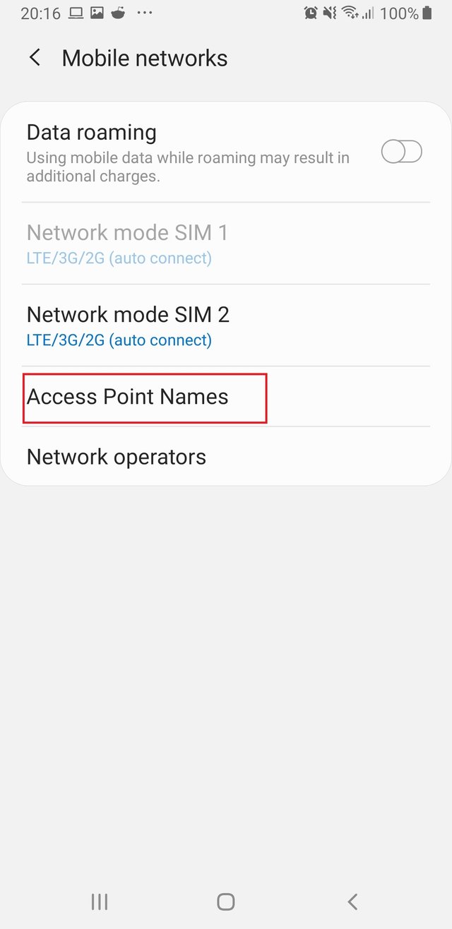 Figure 19. if you mobile network then go to access point.jpg