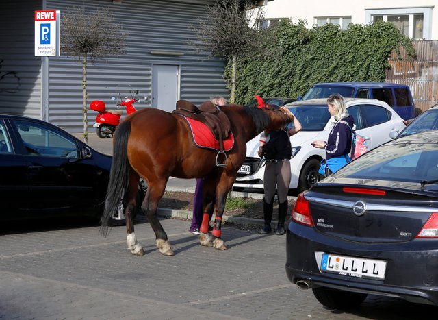 Pferd parkt bei Rewe.jpg