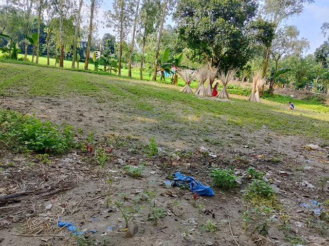 1000047503.jpg