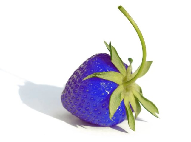 bluestrawberry.jpg