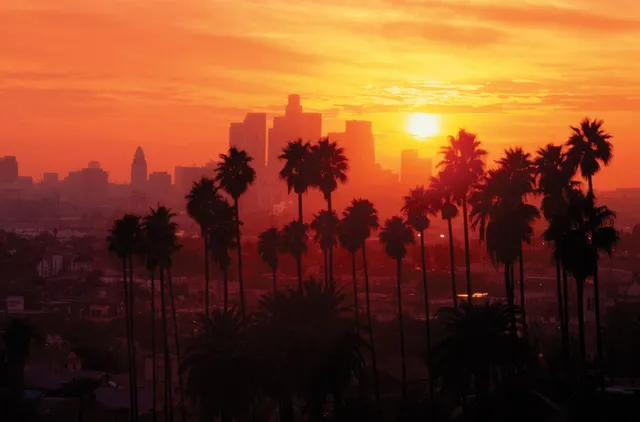 Palm-trees-skyline-Los-Angeles-background.webp