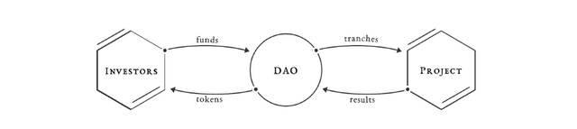 daox2.png