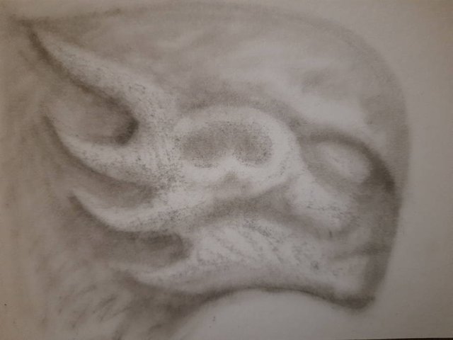 20250728_105046.jpg