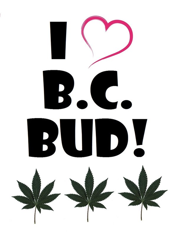 IheartBCbud.jpg