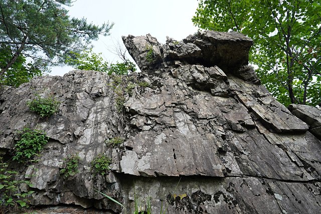 b-DSC07391.JPG
