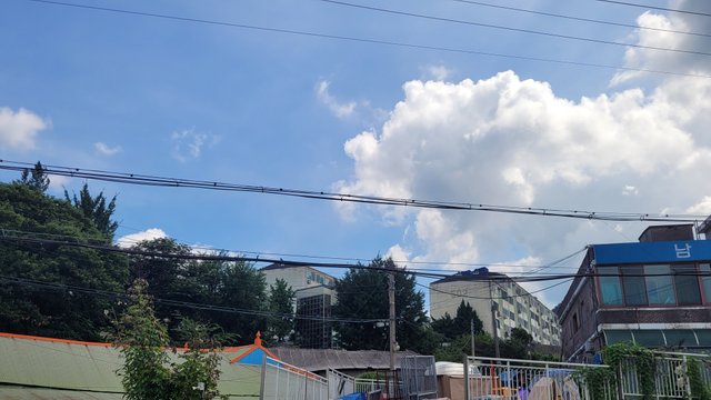 1000045865.jpg