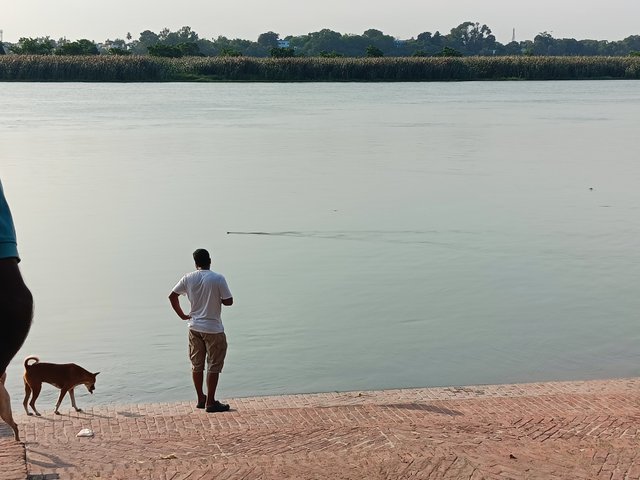 1000043582.jpg