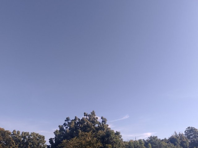 32FTXiZsHoAW6noHJDhrg3W8ZKHVFSsLYM859aTDCF8iErZ2as9WHPSg6uDvJKGRFuEpkR43j2Unf4WLJfowqj8FiVJCVLj2WzWEpMQ9ByY1EQu317hcfVvcx2JYyDGCzU5i1eSELRiXw9uG.jpeg