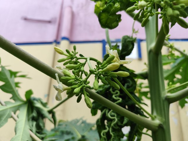 IMG_20250705_103042.jpg