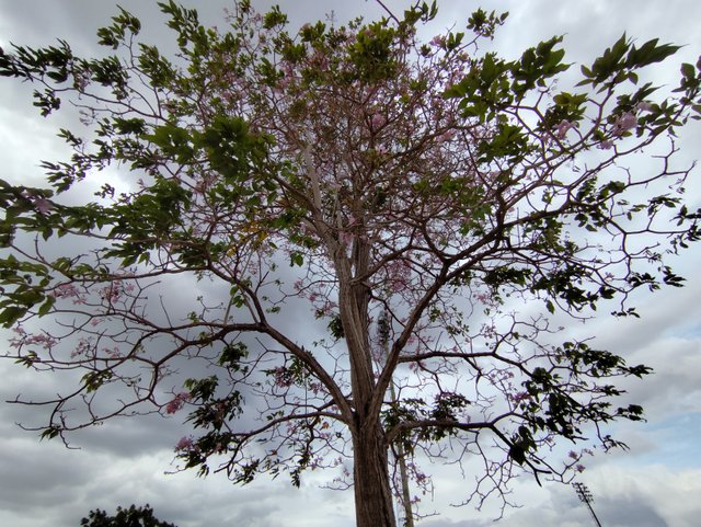 IMG_20250423_172113.jpg