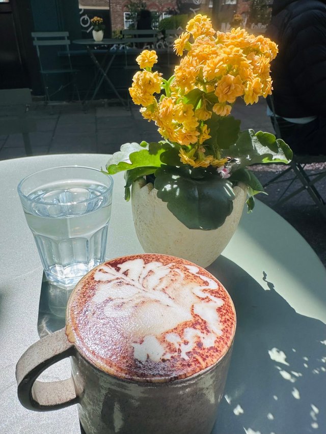 CA3D90F2-6C16-490F-9F9B-4273E39D9A2C.jpeg