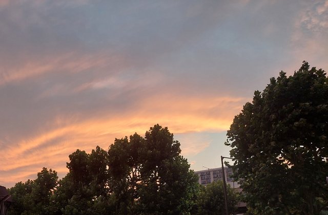 20250804_194600.jpg