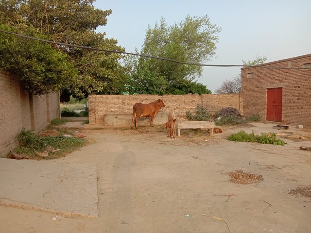 IMG_20210820_175312.jpg