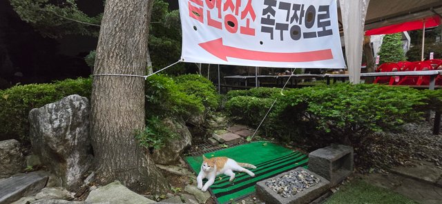KakaoTalk_20250726_192157892_07.jpg