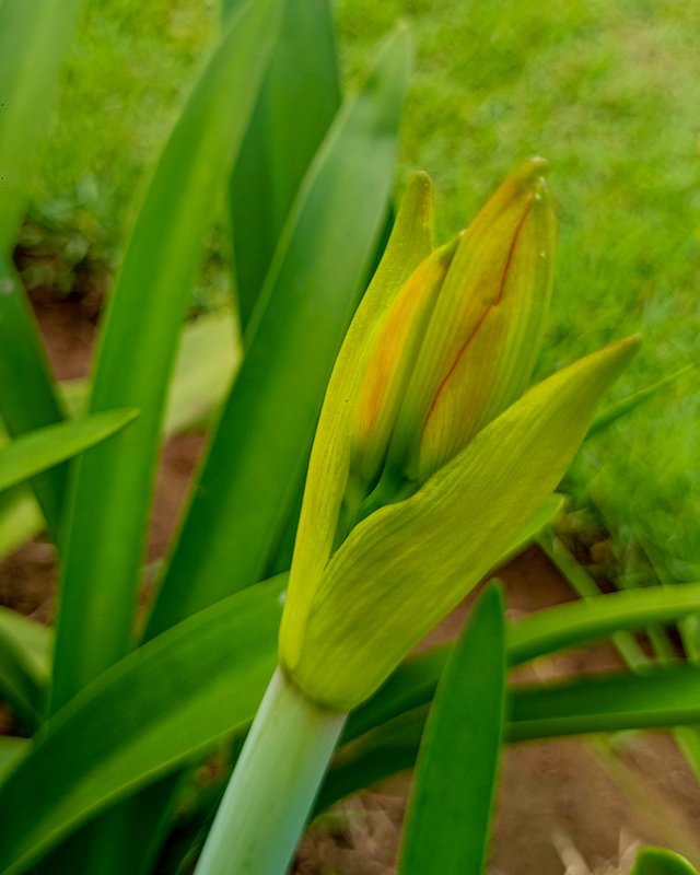 IMG20250404093240.jpg