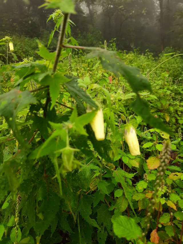20210910_073032.jpg