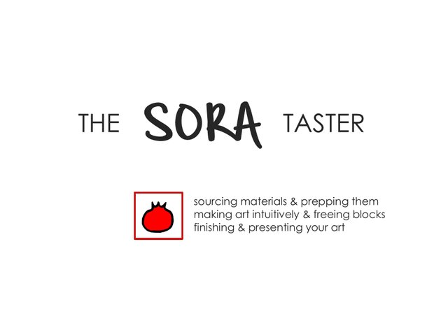 THE SORA taster.jpg