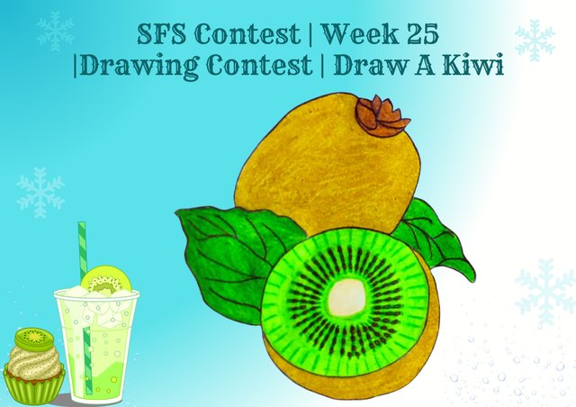 SFS Contest  Week 25 Drawing Contest  Draw A Kiwi by @zisha-hafiz.jpg