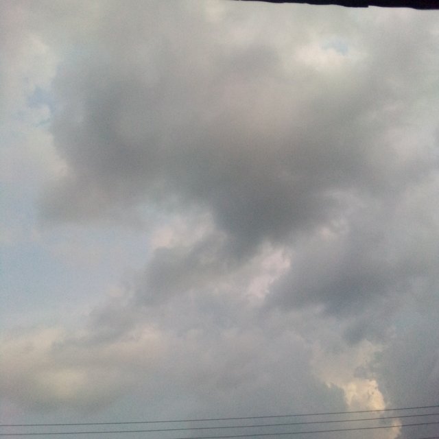 IMG_20211128_153510.jpg