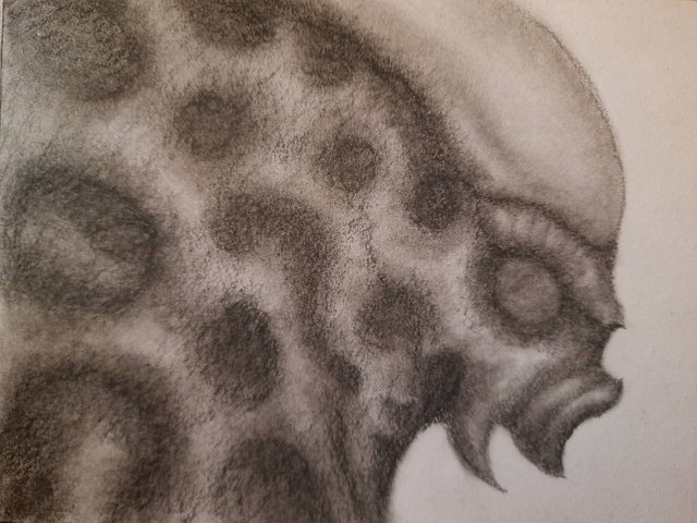 20250424_124252.jpg