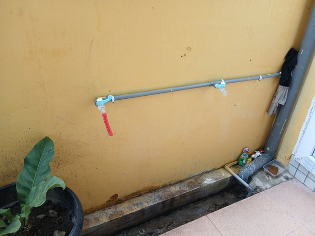 20250419_080859.jpg