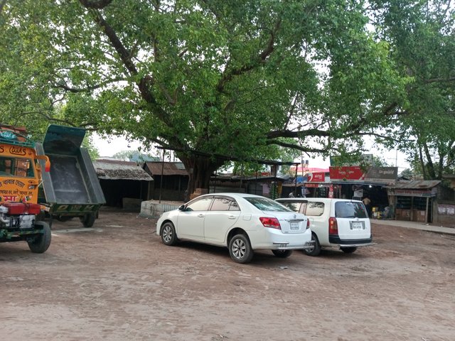 IMG_20250419_175059_921.jpg