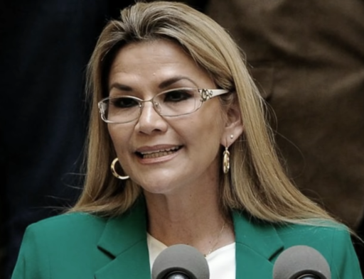 Jeanine_Añez_en_discurso_del_22_de_enero_de_2020.png