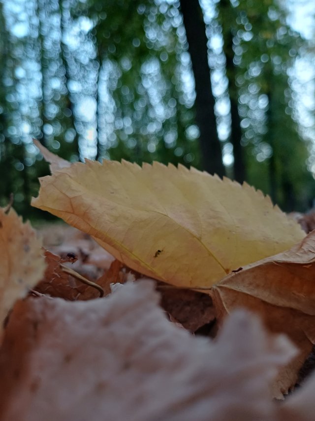 20250926_183124.jpg