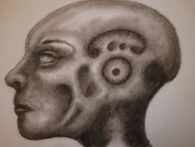 20250805_110428.jpg