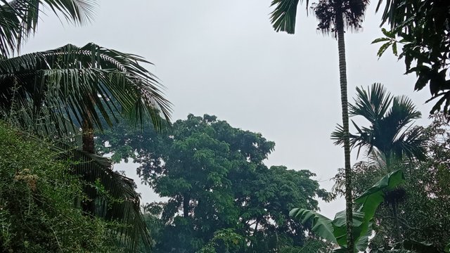 IMG_20250709_121809.jpg