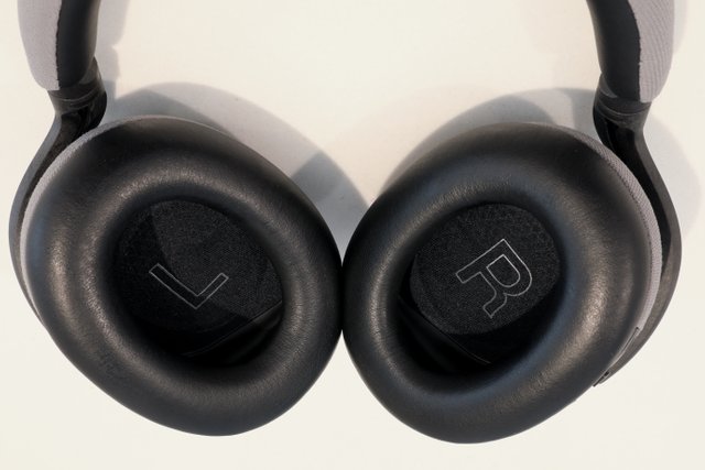 ear cup3.jpg